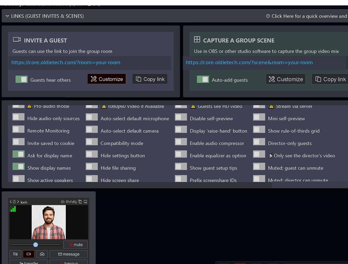 LiveBridge director workspace showing guest invitation links, group scene controls and a connected guest feed